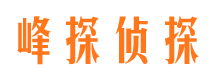 拉孜市调查公司